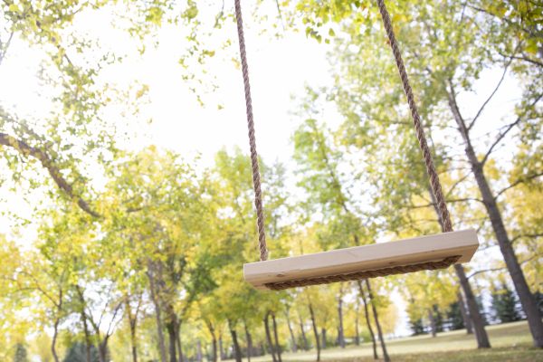 Cost of Tree Swing Installation in Tampa