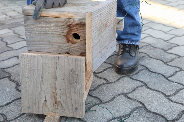 Cost of Birdhouse Mounting in Tampa